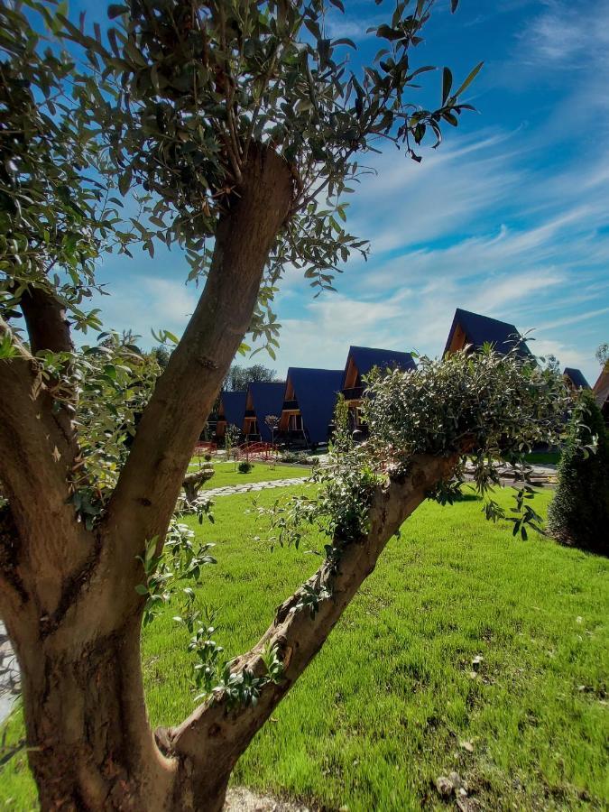 Reserve Resort Lagodechi Exterior foto